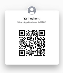 WhatsApp QR Code