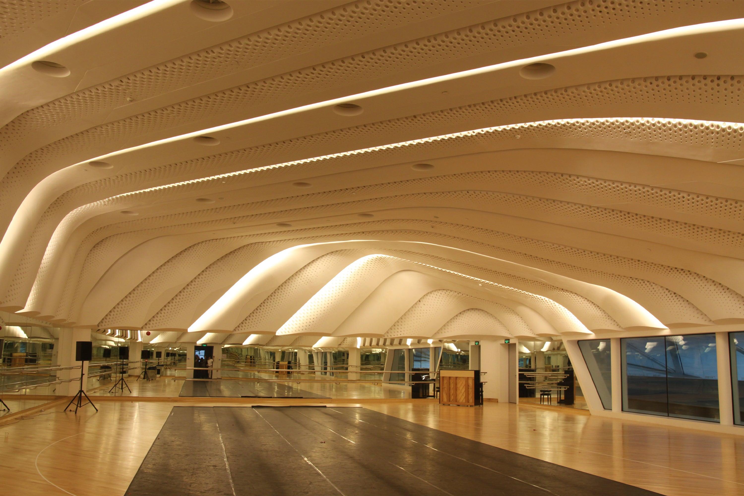 Architectural Ceiling Features — Application Reference
